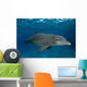 Bottlenose Dolphin Tursiops Truncatus Wall Decal Design 6