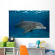 Bottlenose Dolphin Tursiops Truncatus Wall Decal Design 6