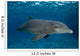 Bottlenose Dolphin Tursiops Truncatus Wall Decal Design 6
