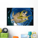 Green Sea Turtle Chelonia Wall Decal Design 13