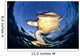 Green Sea Turtle Chelonia Wall Decal Design 12