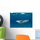 Bottlenose Dolphin Tursiops Truncatus Wall Decal Design 5