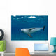 Bottlenose Dolphin Tursiops Truncatus Wall Decal Design 5
