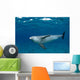 Bottlenose Dolphin Tursiops Truncatus Wall Decal Design 5