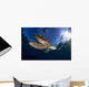 Green Sea Turtle Chelonia Wall Decal Design 11