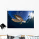 Green Sea Turtle Chelonia Wall Decal Design 11
