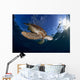 Green Sea Turtle Chelonia Wall Decal Design 11