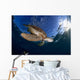 Green Sea Turtle Chelonia Wall Decal Design 11