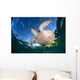 Green Sea Turtle Chelonia Wall Decal Design 10