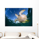Green Sea Turtle Chelonia Wall Decal Design 10