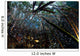 Mangrove Roots Full Life Wall Decal Design 1