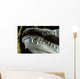 Close-up Snout Moreleti Crocodile Wall Decal