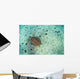 Green Sea Turtle Swimming Wall Decal Design 1
