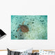 Green Sea Turtle Swimming Wall Decal Design 1