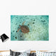 Green Sea Turtle Swimming Wall Decal Design 1