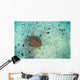 Green Sea Turtle Swimming Wall Decal Design 1