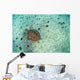 Green Sea Turtle Swimming Wall Decal Design 1