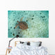 Green Sea Turtle Swimming Wall Decal Design 1
