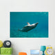 Bottlenose Dolphin Tursiops Truncatus Wall Decal Design 4