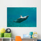 Bottlenose Dolphin Tursiops Truncatus Wall Decal Design 4