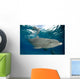 Bottlenose Dolphin Tursiops Truncatus Wall Decal Design 3