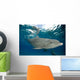 Bottlenose Dolphin Tursiops Truncatus Wall Decal Design 3