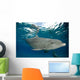 Bottlenose Dolphin Tursiops Truncatus Wall Decal Design 3