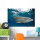 Bottlenose Dolphin Tursiops Truncatus Wall Decal Design 3