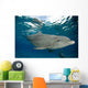 Bottlenose Dolphin Tursiops Truncatus Wall Decal Design 3