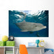 Bottlenose Dolphin Tursiops Truncatus Wall Decal Design 3