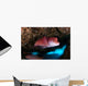 Mexican Hogfish Bodianus Diplotaenia Wall Decal Design 5