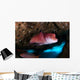 Mexican Hogfish Bodianus Diplotaenia Wall Decal Design 5
