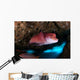 Mexican Hogfish Bodianus Diplotaenia Wall Decal Design 5