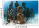 Sea Sculptures Caribbean Sea Wall Decal