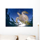 Green Sea Turtle Chelonia Wall Decal Design 9