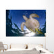 Green Sea Turtle Chelonia Wall Decal Design 9