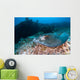 Southern Stingray Dasyatis Americana Wall Decal Design 2