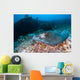 Southern Stingray Dasyatis Americana Wall Decal Design 2