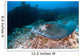 Southern Stingray Dasyatis Americana Wall Decal Design 2