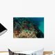 Banded Guitarfish Zapteryx Exasperata Wall Decal Design 4
