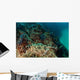 Banded Guitarfish Zapteryx Exasperata Wall Decal Design 4