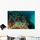Banded Guitarfish Zapteryx Exasperata Wall Decal Design 4