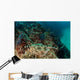 Banded Guitarfish Zapteryx Exasperata Wall Decal Design 4