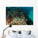 Banded Guitarfish Zapteryx Exasperata Wall Decal Design 4