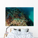 Banded Guitarfish Zapteryx Exasperata Wall Decal Design 4