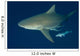 Bull Shark Their Annual Wall Decal