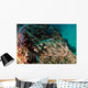 Banded Guitarfish Zapteryx Exasperata Wall Decal Design 3
