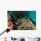 Banded Guitarfish Zapteryx Exasperata Wall Decal Design 3
