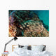 Banded Guitarfish Zapteryx Exasperata Wall Decal Design 3