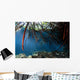 Mangrove Roots Casa Cenote Wall Decal